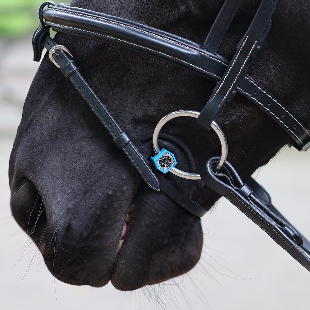 Metalab Flexible Snaffle Mullen Bit