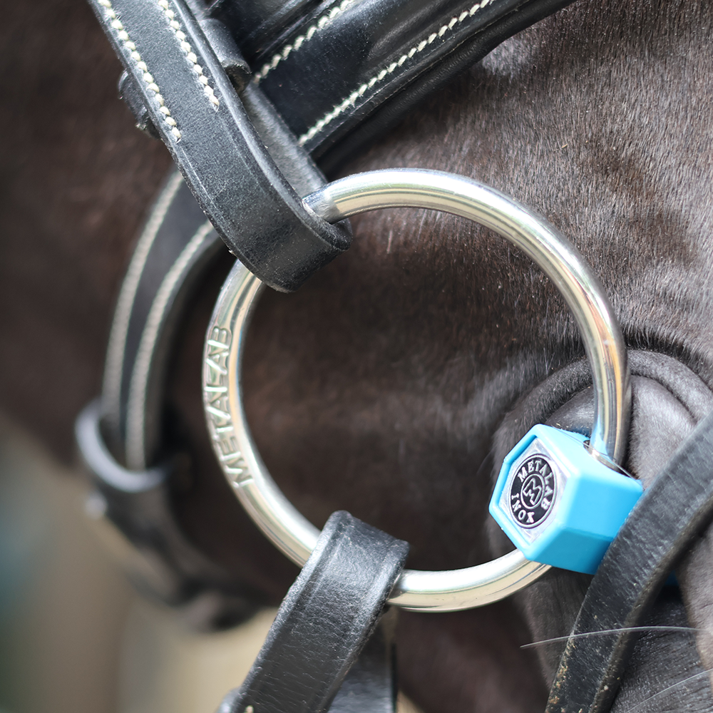 Metalab Flexible Snaffle Mullen Bit