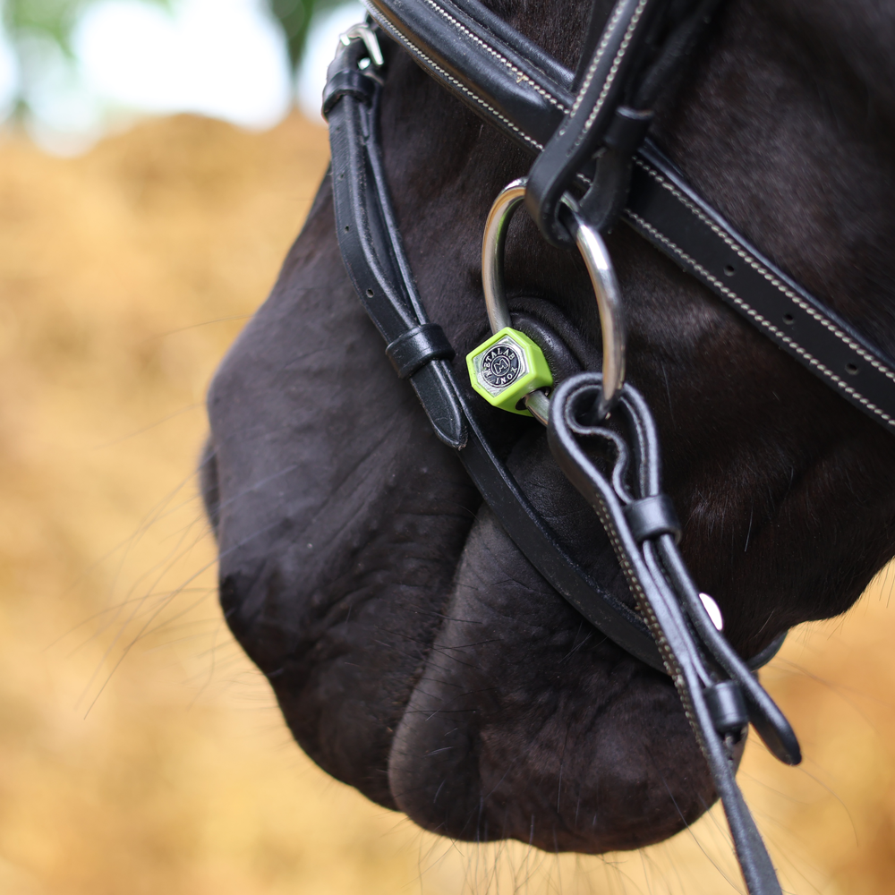 Metalab Snaffle Soft Flexi Port Bit