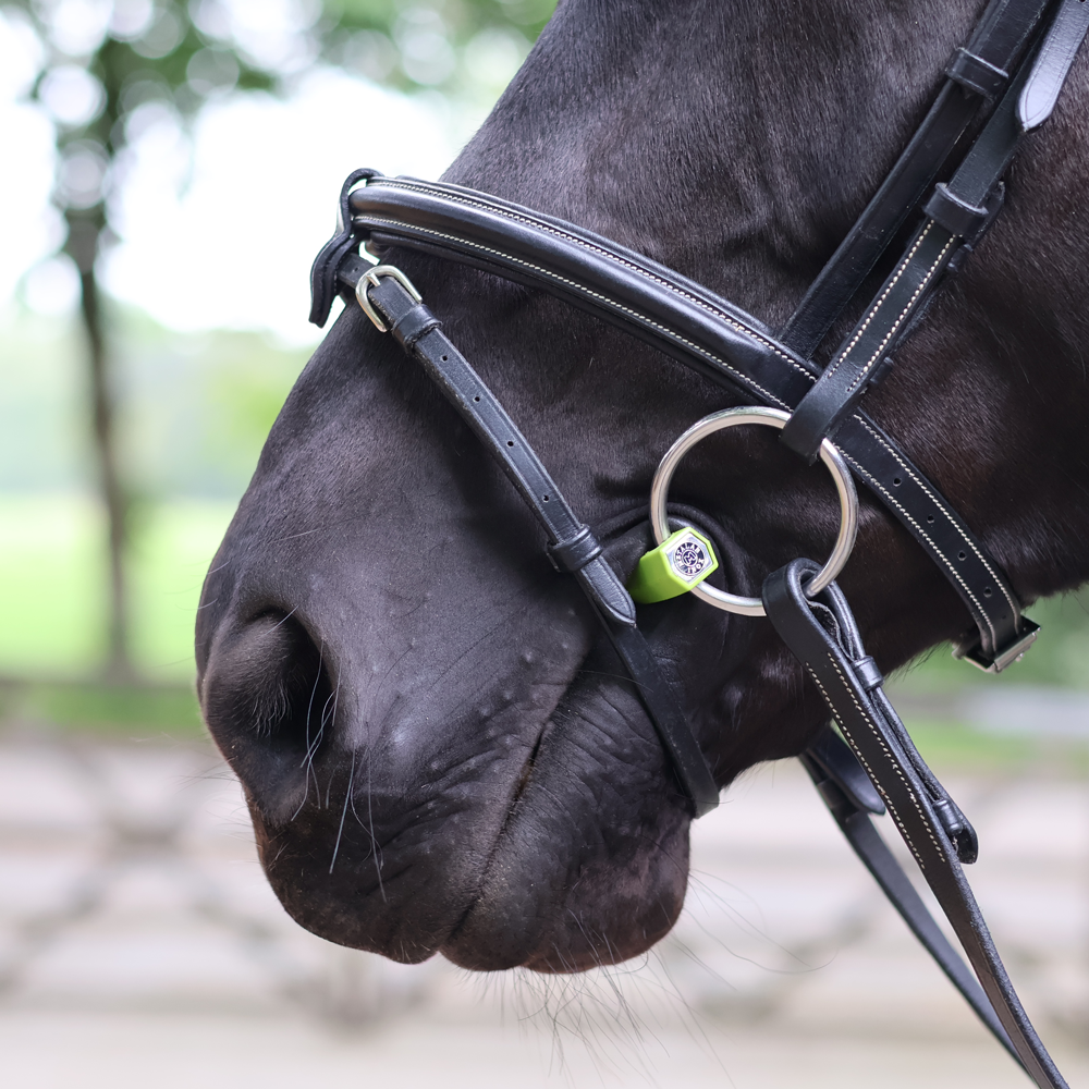 Metalab Snaffle Soft Flexi Port Bit