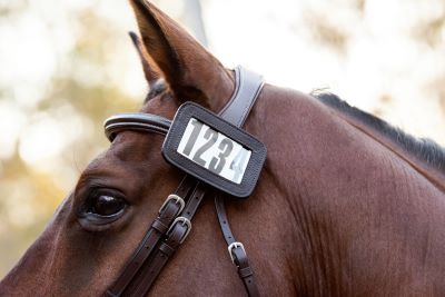 3 Digit Leather Bridle Number Holder