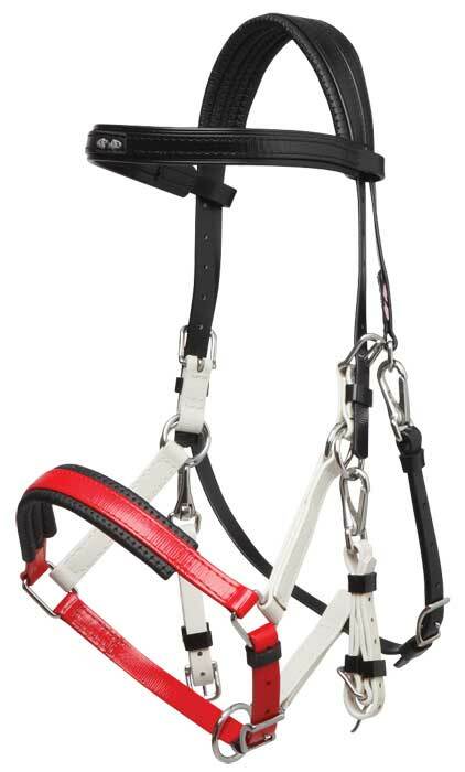 Zilco Tri Colour Marathon Bridle