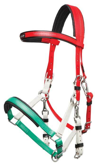 Zilco Tri Colour Marathon Bridle