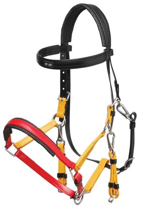Zilco Tri Colour Marathon Bridle