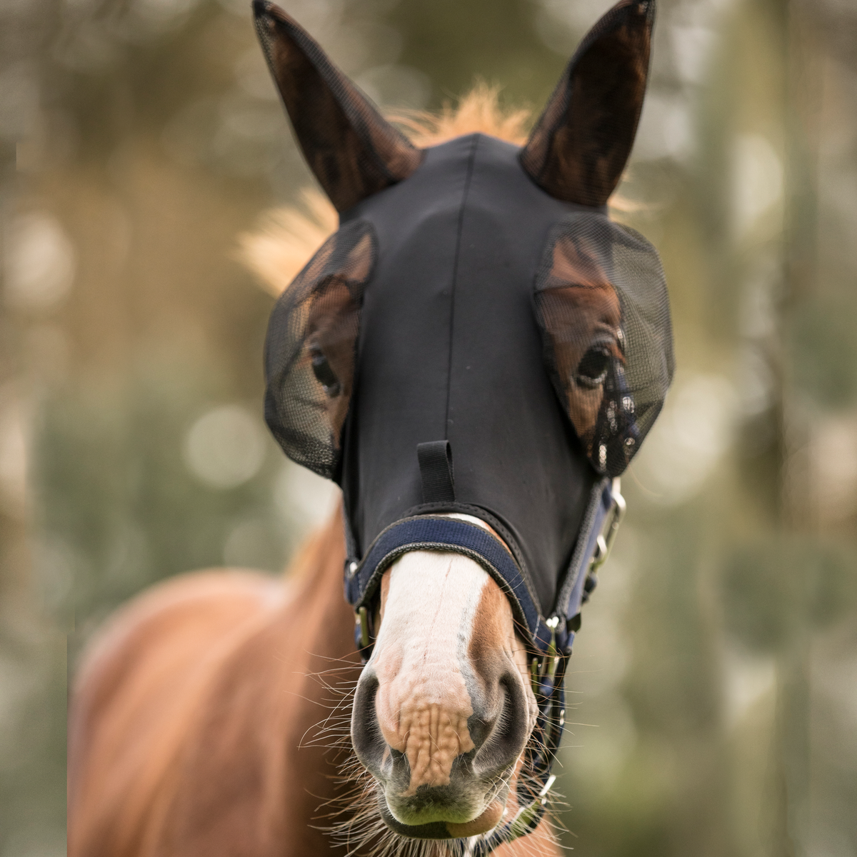Lami-Cell Lycra Fly Mask - Black