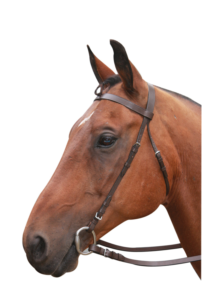 Plain Leather Bridle