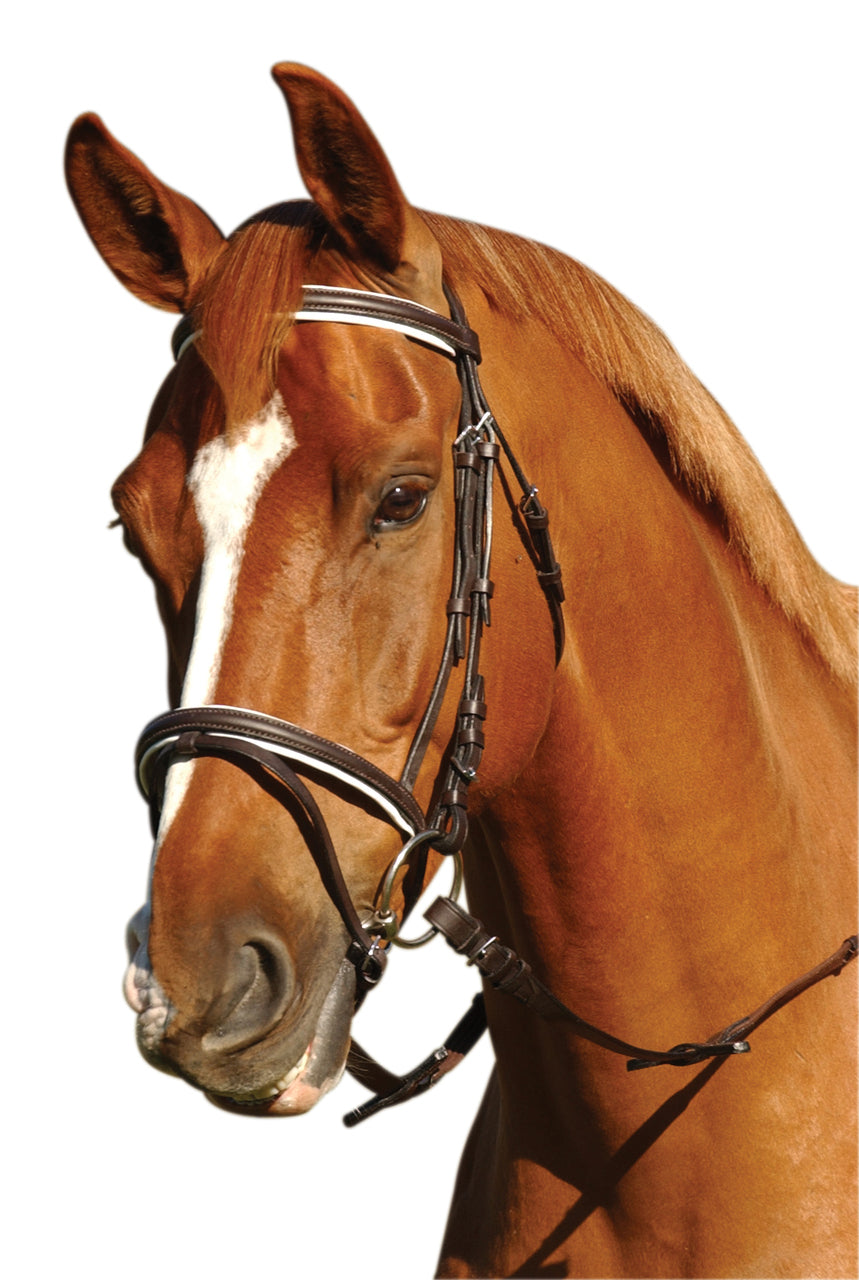 Canterbury Workwear Padded Hanoverian Bridle