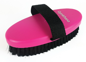 Gymkhana Large Body Brush