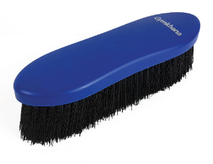 Gymkhana Large Dandy Brush