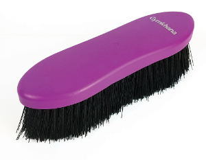 Gymkhana Large Dandy Brush