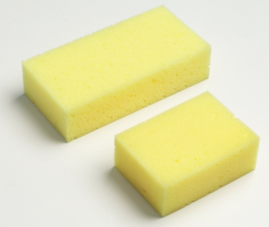 Sponge