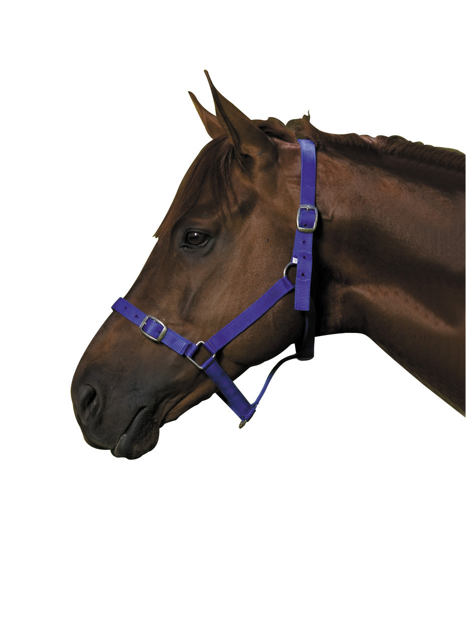 Super Strong Web Headstall