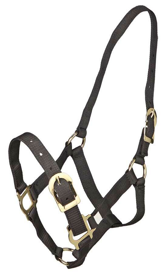 Zilco Poly Webbing Headstall