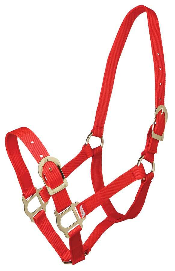 Zilco Poly Webbing Headstall