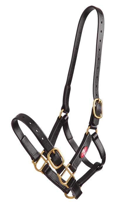 Zilco 25MM PVC Halter