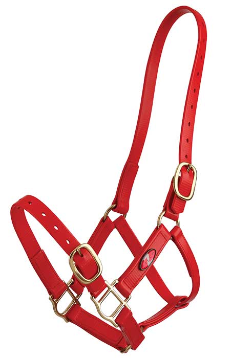 Zilco 25MM PVC Halter