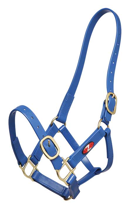 Zilco 25MM PVC Halter