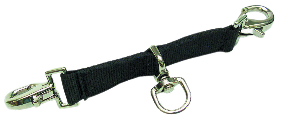 Lunge Strap