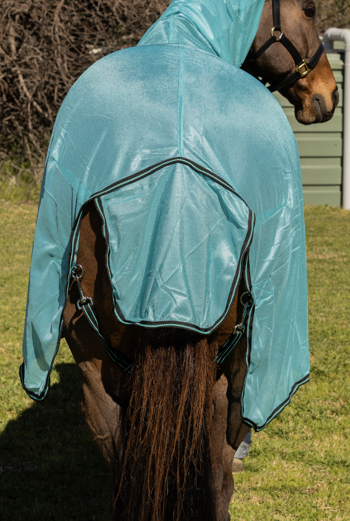 Mesh Combo With Surcingles - Aqua