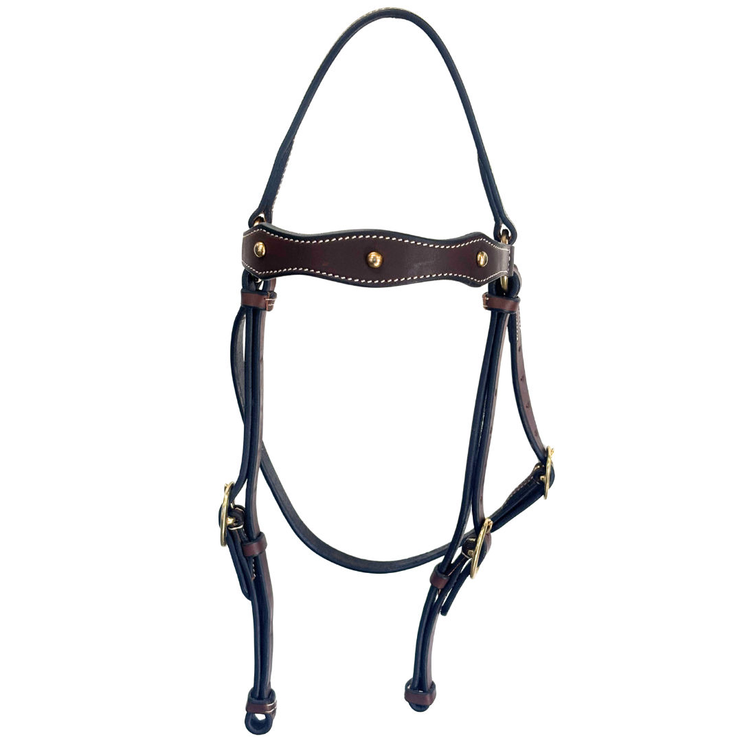 Calgary Brass Studded Barcoo