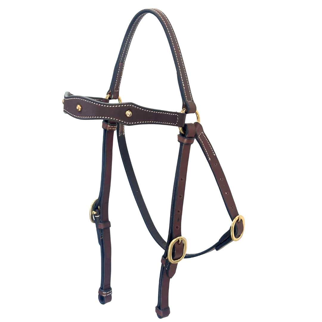 Calgary Brass Studded Barcoo