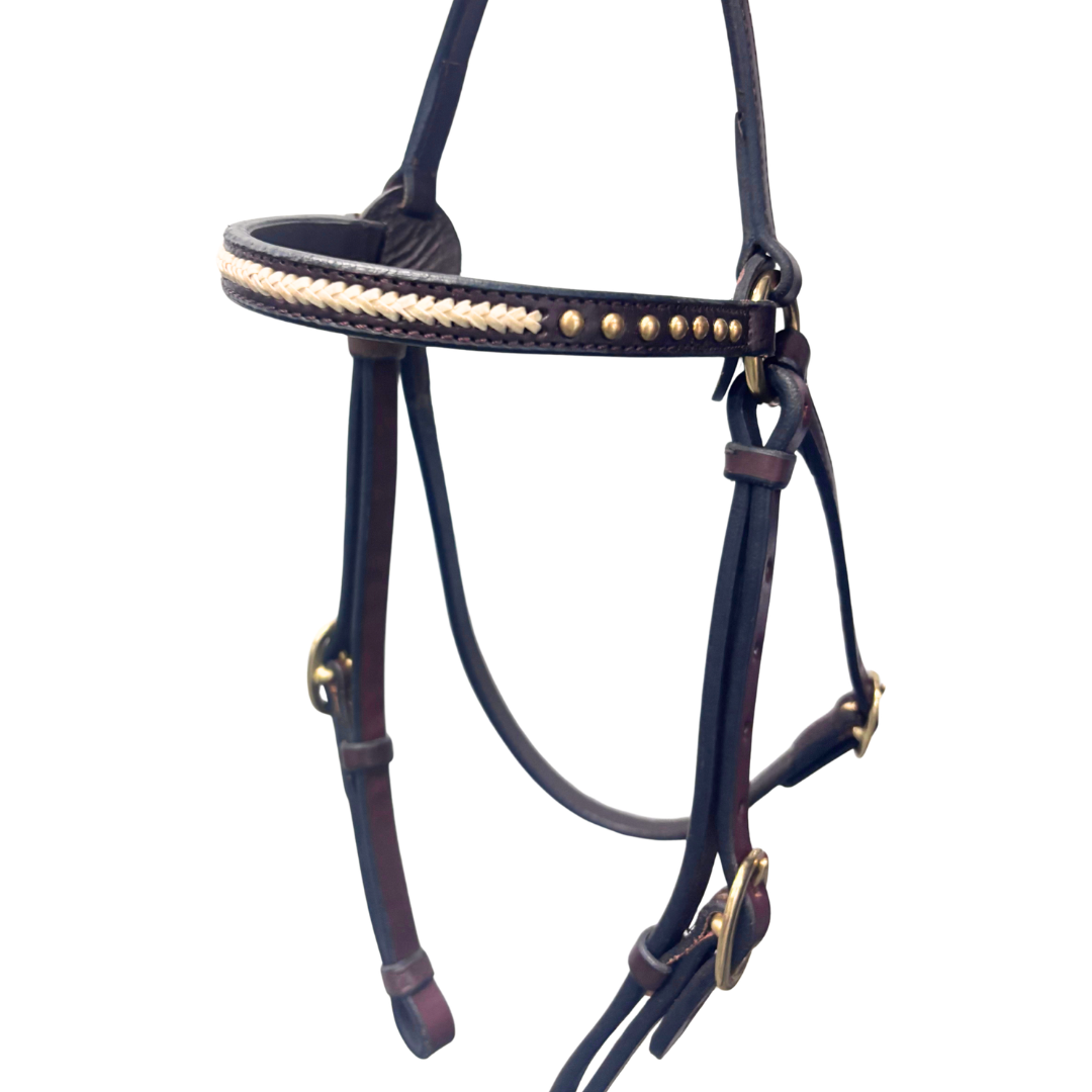 Calgary Rawhide Studded Barcoo - #517