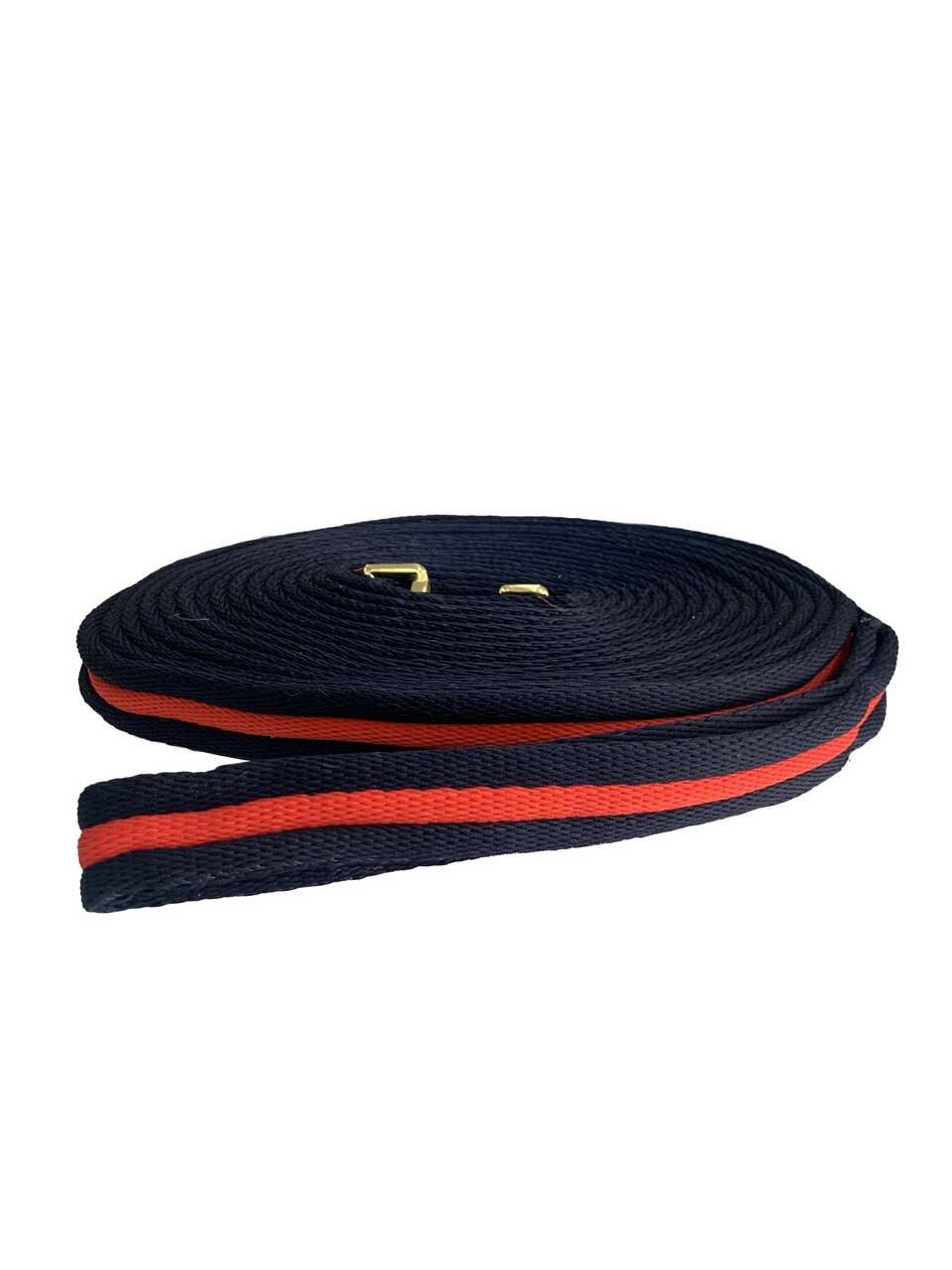 Canterbury Padded Lunge Lead