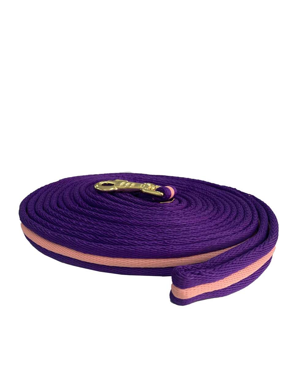 Canterbury Padded Lunge Lead