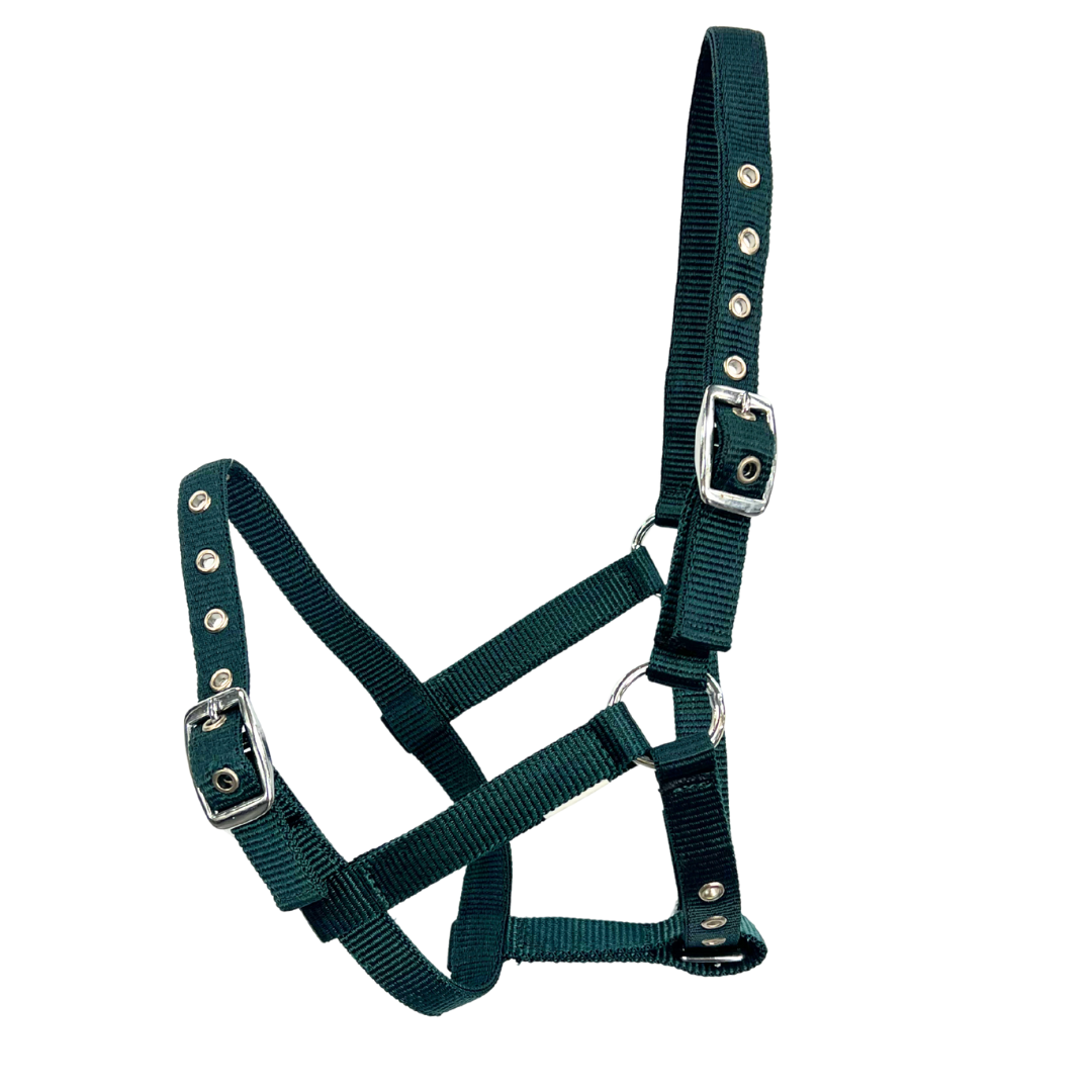 Oxford Web Foal Halter