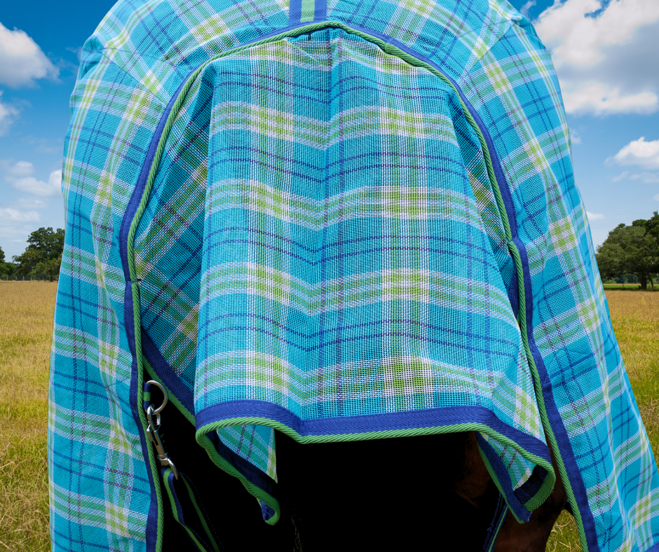 Shade Mesh Combo – Blue/Green