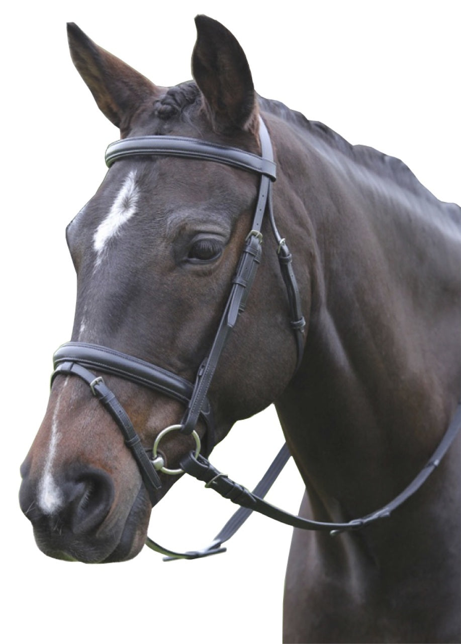 Hanoverian Bridle