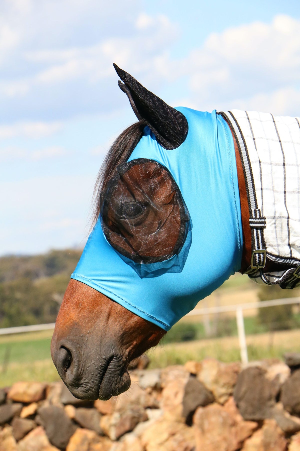Newmarket's Stretch Bug Eye Fly Mask With Ears