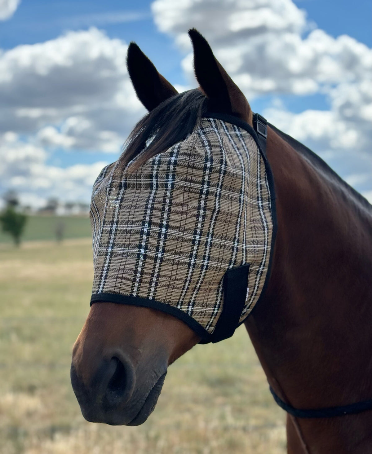 Shade Mesh Fly Mask