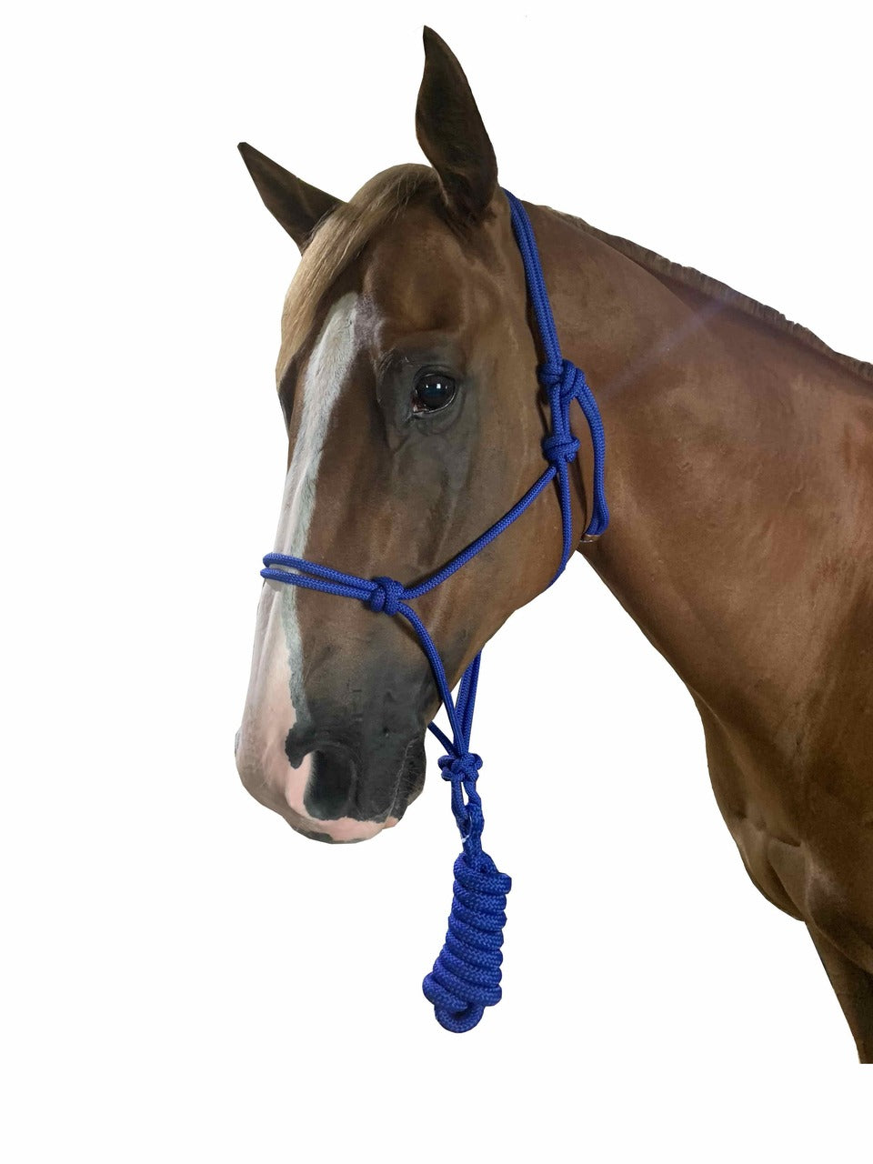 Calgary Knotted Headstall & Lead Set