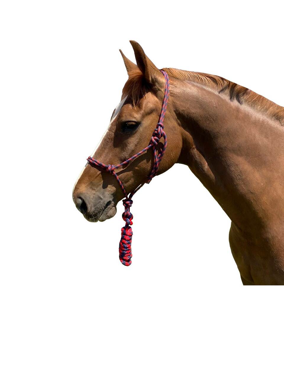 Calgary Knotted Headstall & Lead Set