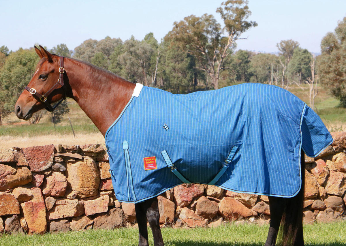 New Zealand 24 Oz Ripstop Lined Canvas Rug With Wool Lining - Blue
