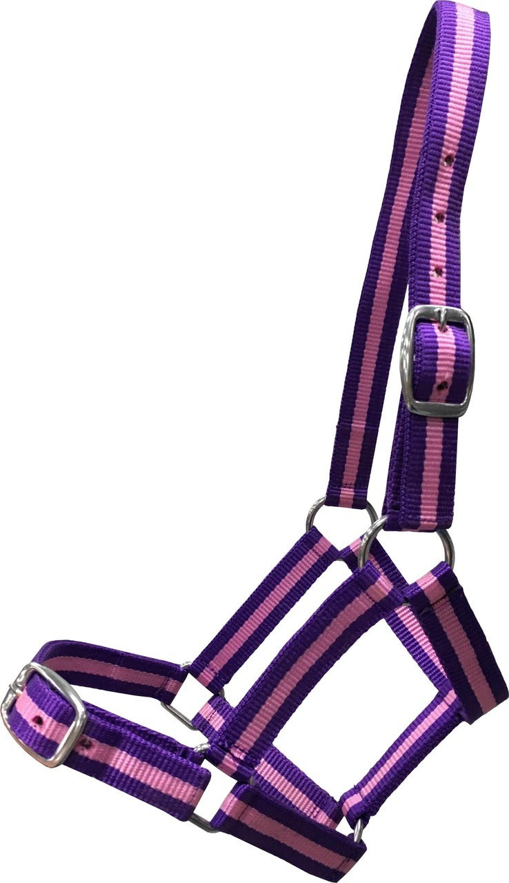 Super Strong Web Headstall