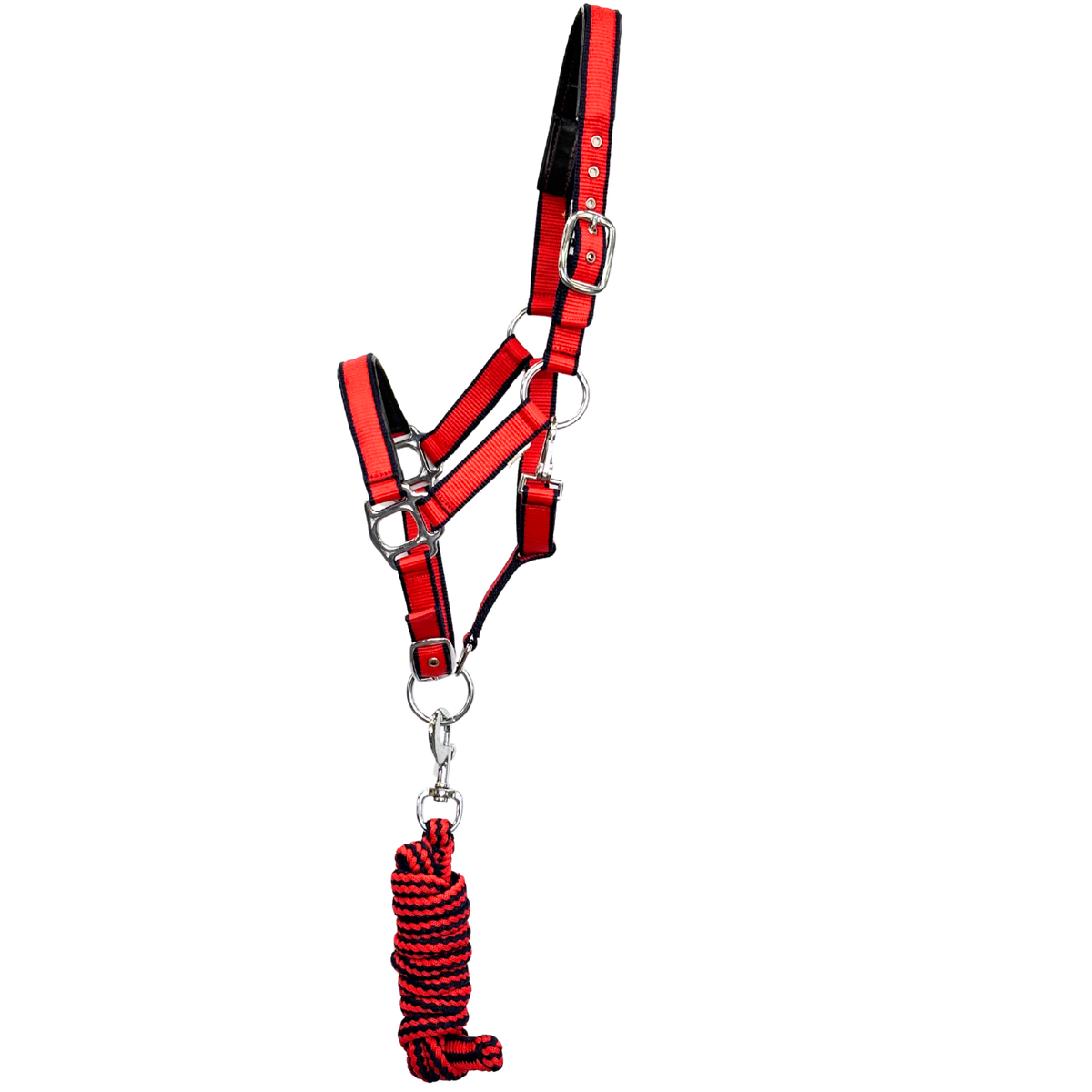 Oxford Premium Halter With Matching Lead – Red/Navy