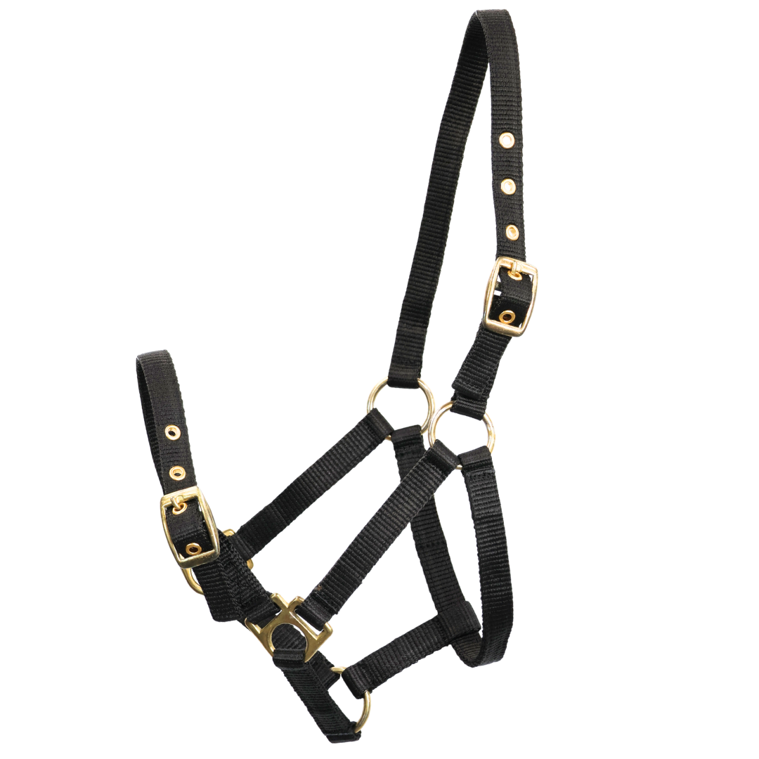 Brass Mounted Web Headstall - Weanling