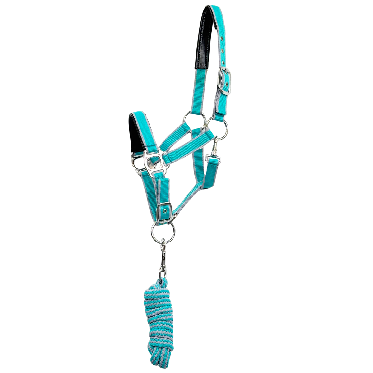 Oxford Premium Halter With Matching Lead – Turquoise/Grey