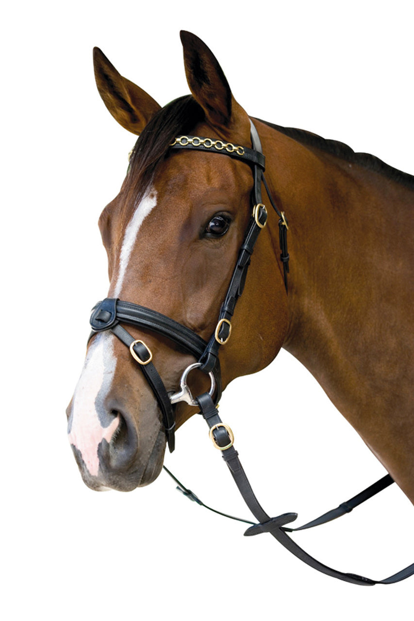 Oxford Performance Bridle