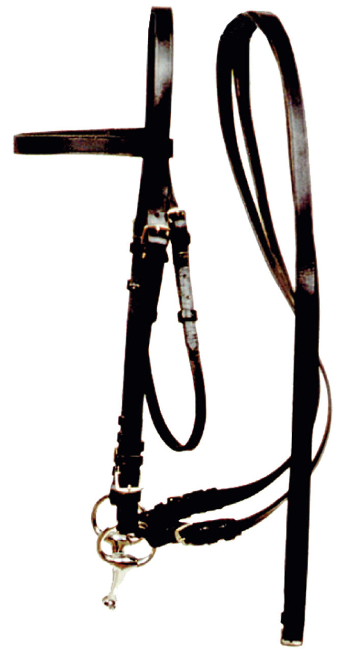 Plain Leather Bridle