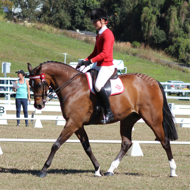 Equine White Sox – 325g