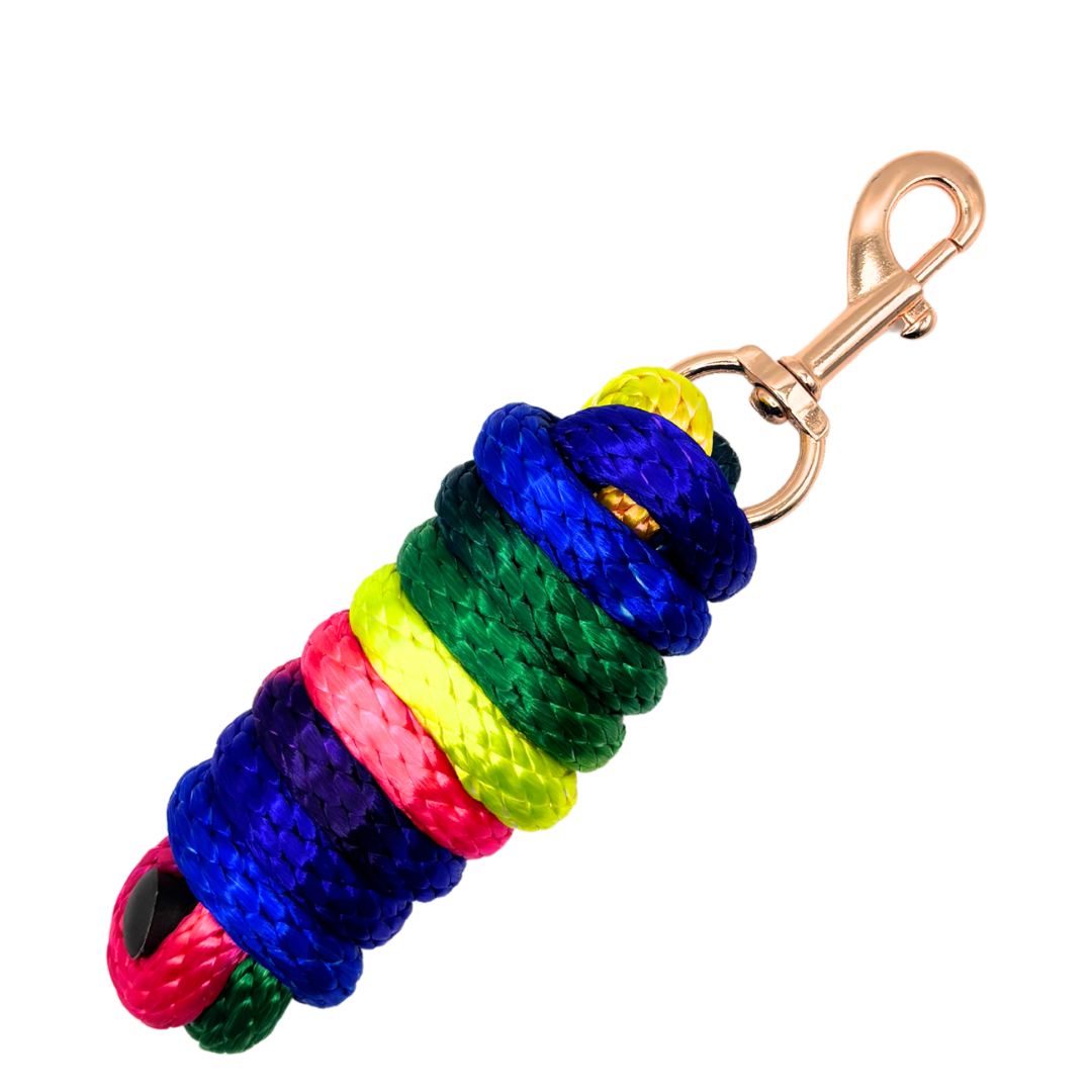 Rainbow Braided Lead 2M With Brass Clip