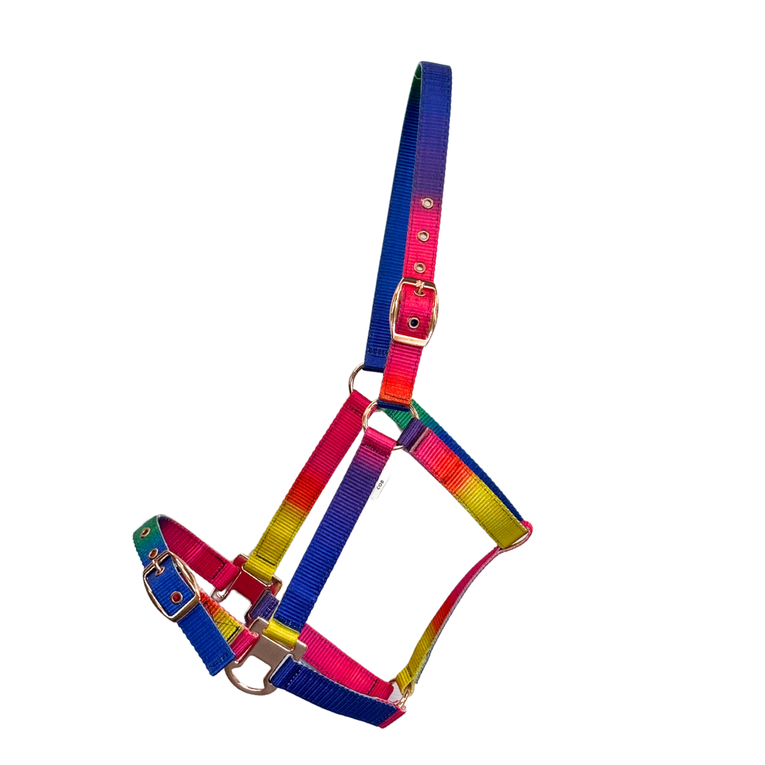 Canterbury Rainbow Poly Halter