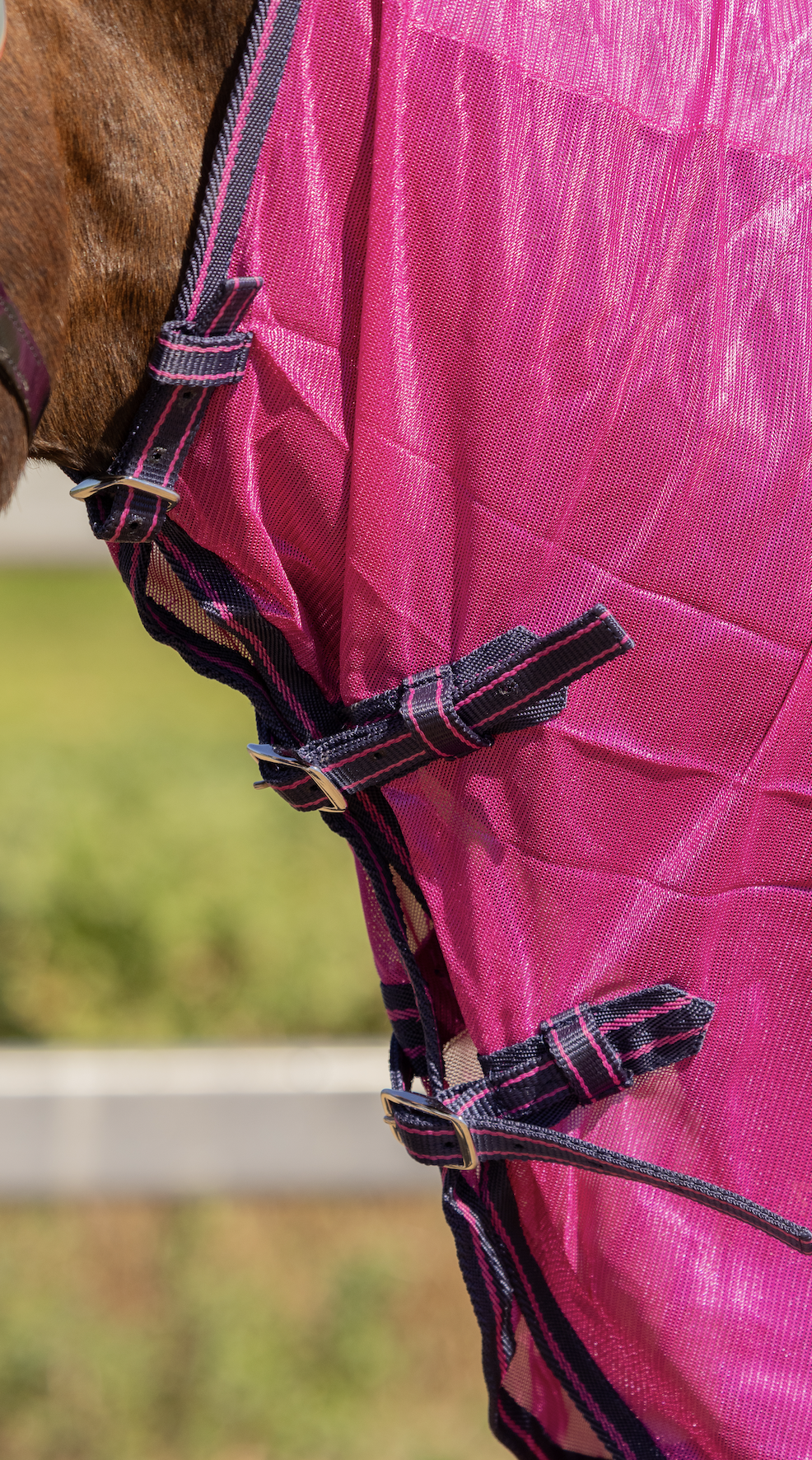 Mesh Combo With Surcingles - Raspberry