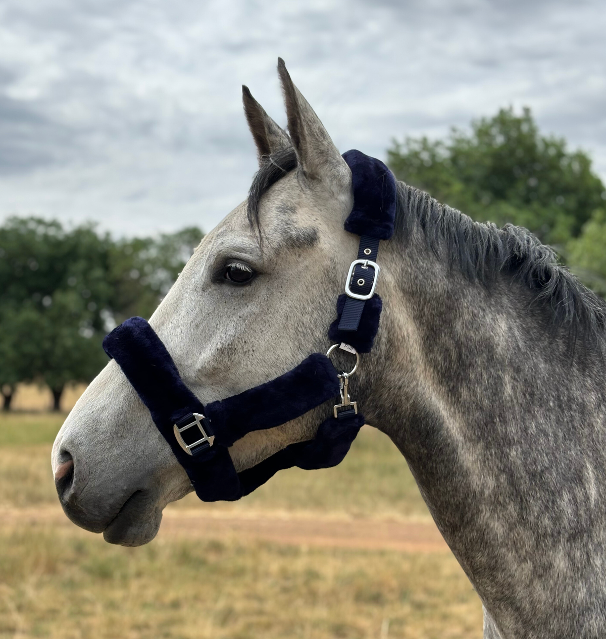Oxford Fleece Web Halter