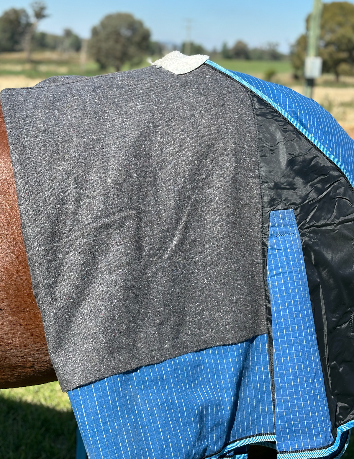 New Zealand 24 Oz Ripstop Lined Canvas Rug With Wool Lining - Blue