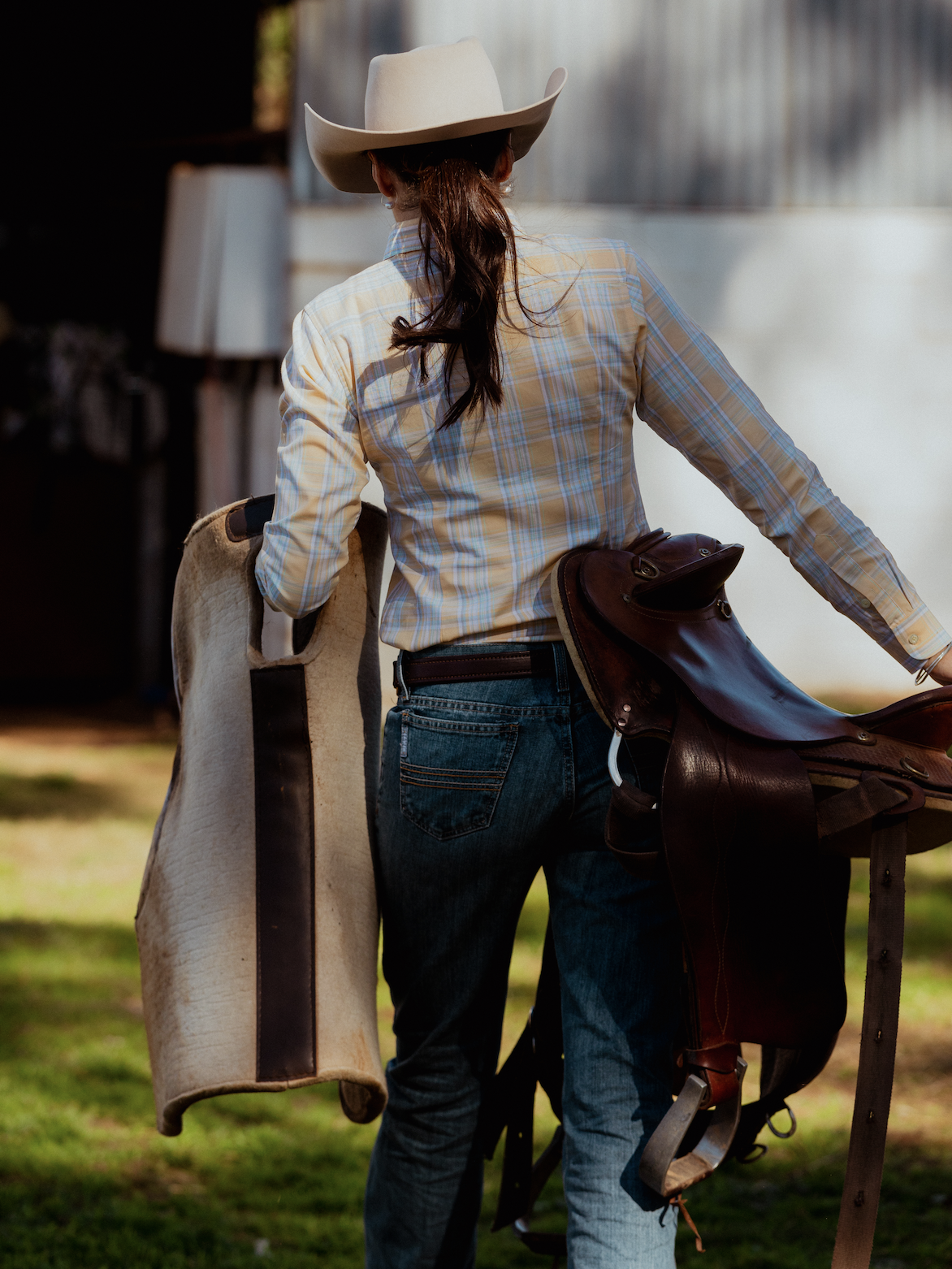 Newmarket Ladies Tess Dress Shirt – Yellow
