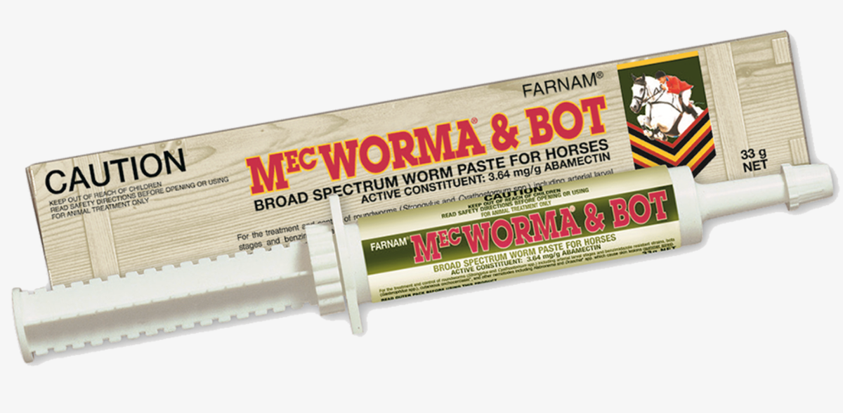 MecWorma & Bot Worm Paste